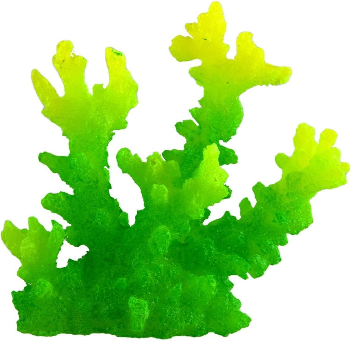 Underwater Treasures Green Acro