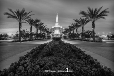 Gilbert Arizona LDS Temple - Heavenly Path - Black & White