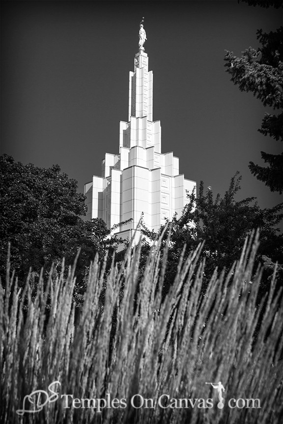 Idaho Falls Idaho Temple Art - Beacon of Light - Black & White
