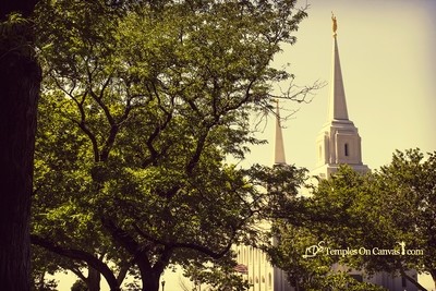 Brigham City Utah Temple - Rise Above - Vintage