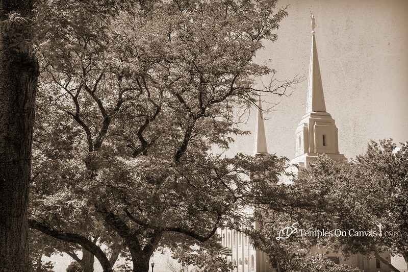 Brigham City Utah Temple - Rise Above - Rustic