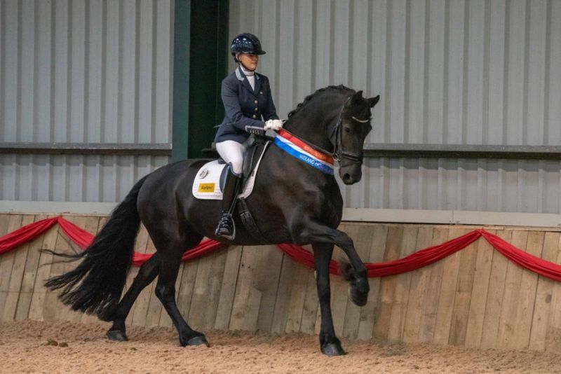 UKFHS | Unaffiliated Dressage | 20th September 2025 | England