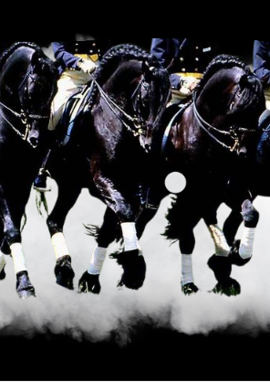 UKFHS | Quadrille Riding with David Boyd | 20th September 2025