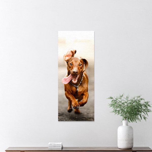 Lerretsbilde 40x100 cm