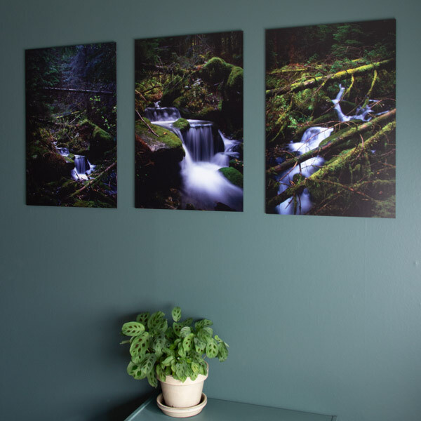 40x60cm bilde på aluminium 40x60cm bilde på aluminium