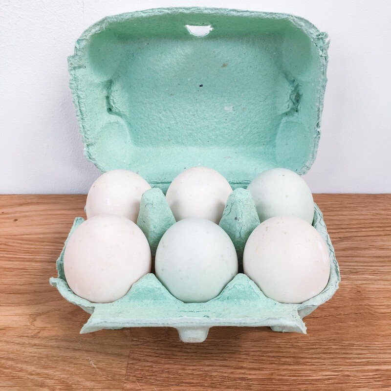 EGGS