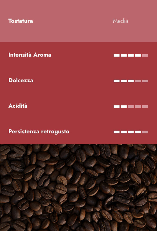 Carraro BRASILE Specialty Artisan CERRADO Arabica еспресо зрно 1 кг