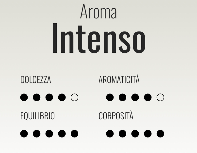 Verzi Modo Mio Intenso espresso x100