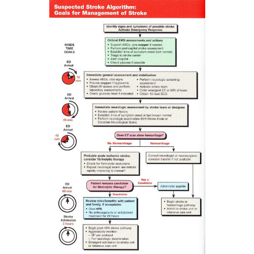 ischemic stroke guideline ไทย 2562 pdf
