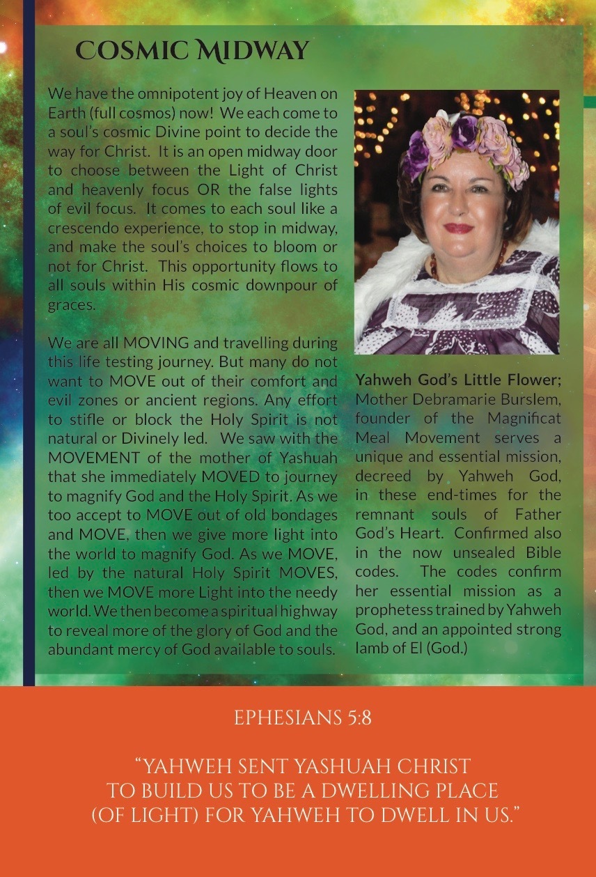 Cosmic Midway Paperback Book