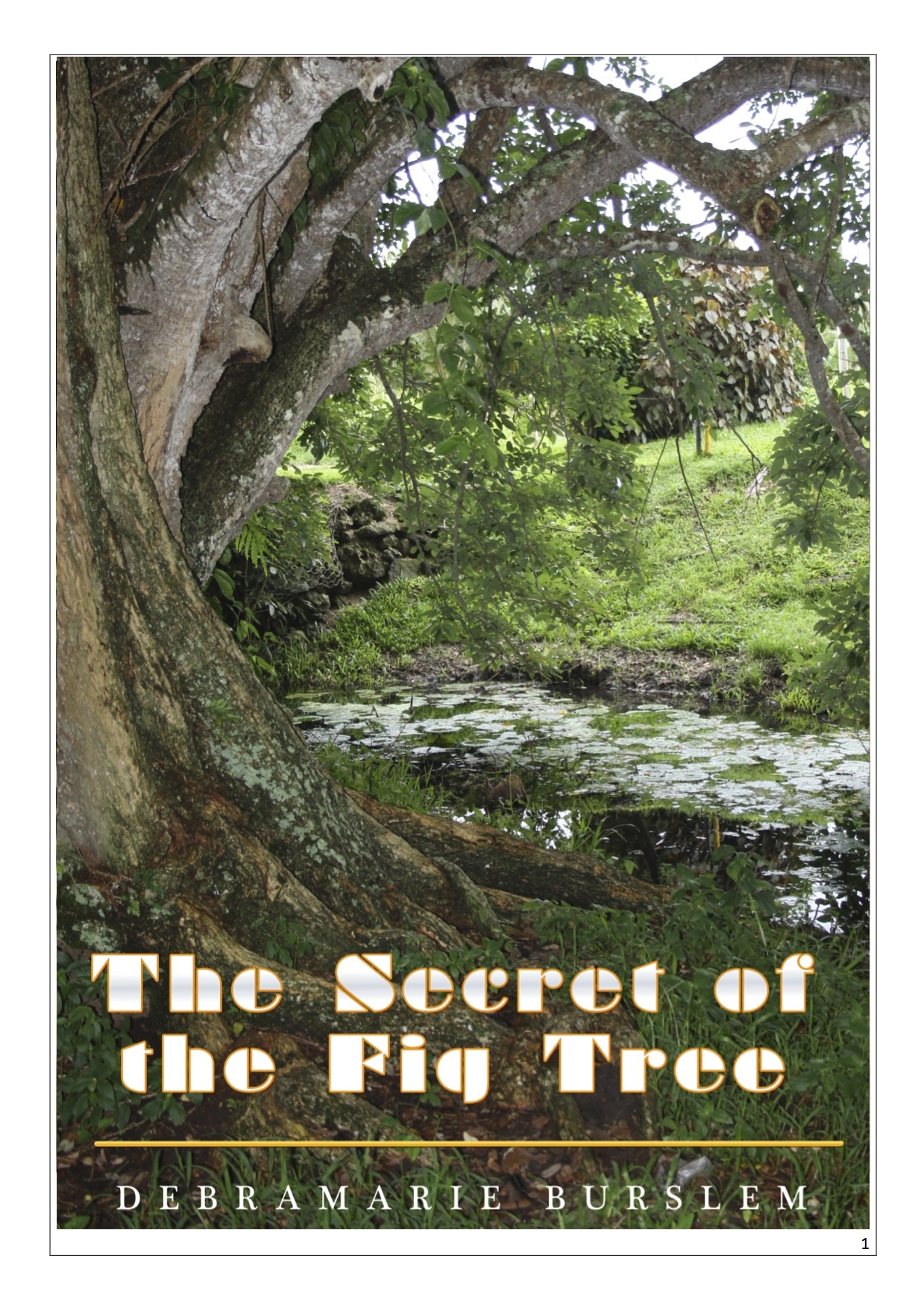 Set: The Secret of the Fig Tree & Heaven's Sweet Words EB TSOTFT