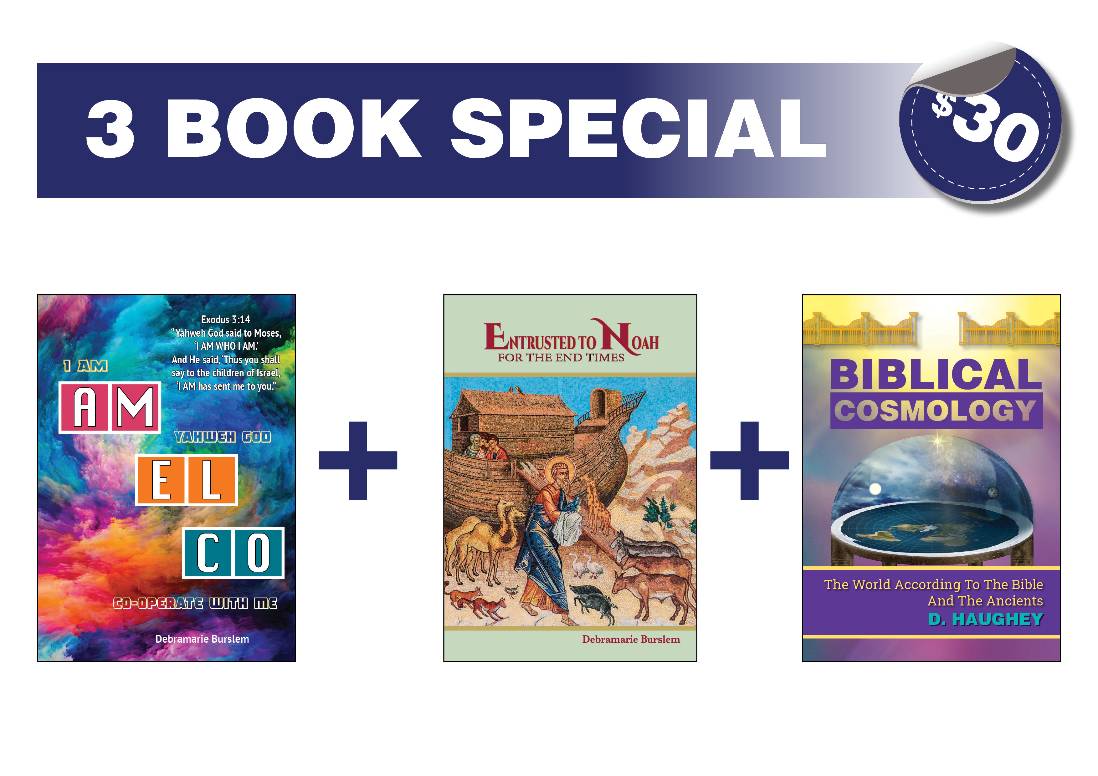3 Book Special 10489