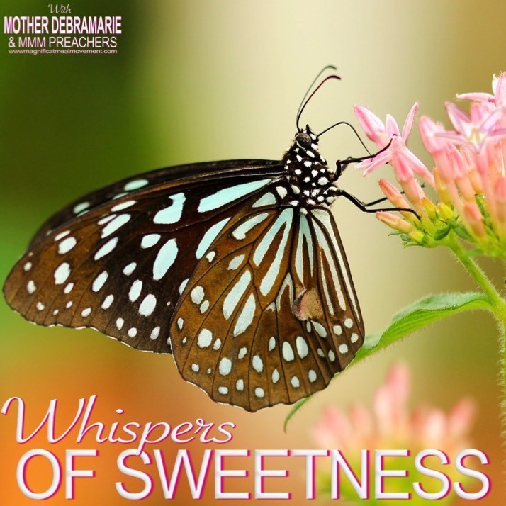 Whispers of Sweetness 10210