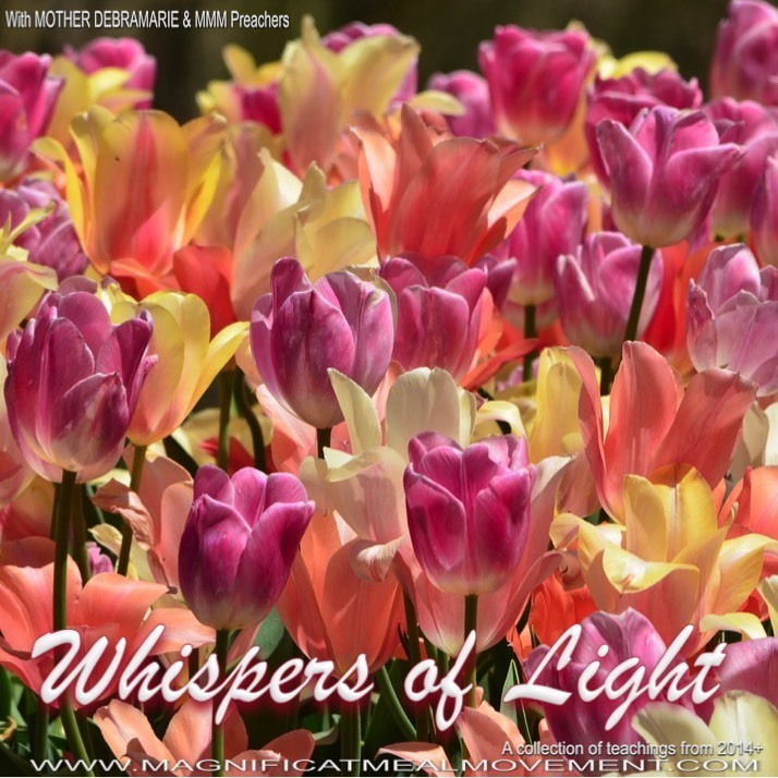 Whispers of Light 10211