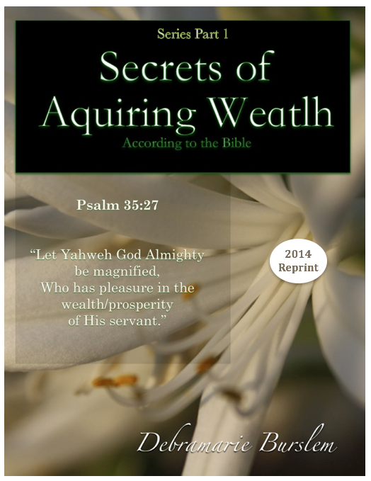 The Secret Of Acquiring Wealth Series - Part One EB1604