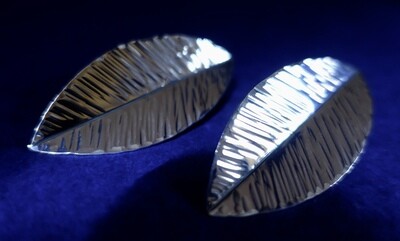 Härligt stora Silverlöv