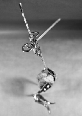 Günther är här! Uppfordrande, dominant och krävande.