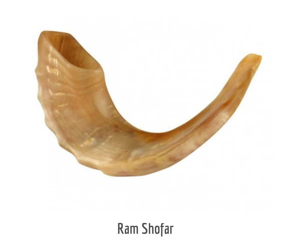 Ram Shofar