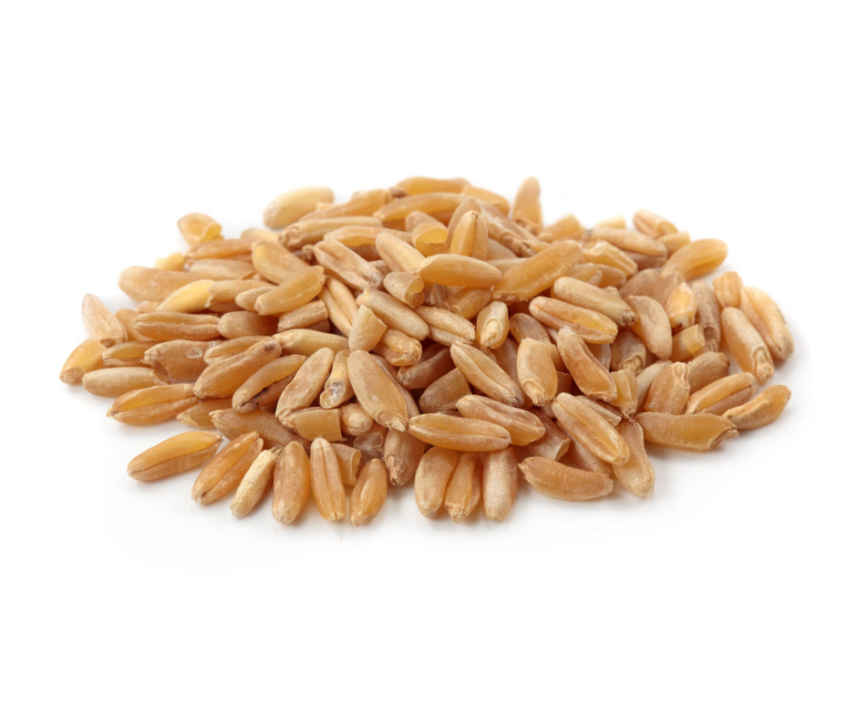 Wheat