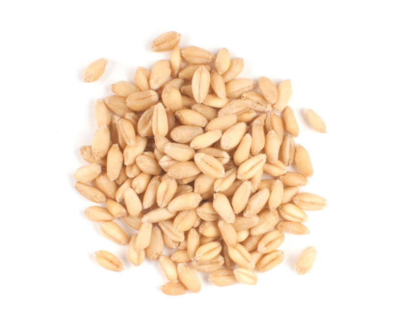 White Wheat (Berries) Certified Organic