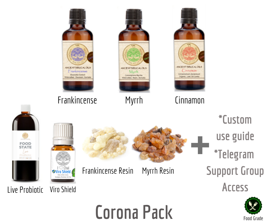 Immune Support Essentials