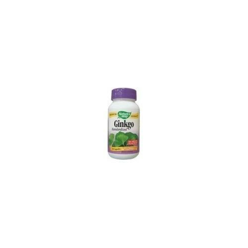 Nature&#39;s Way Ginkgo Extract (1x60 CAP)