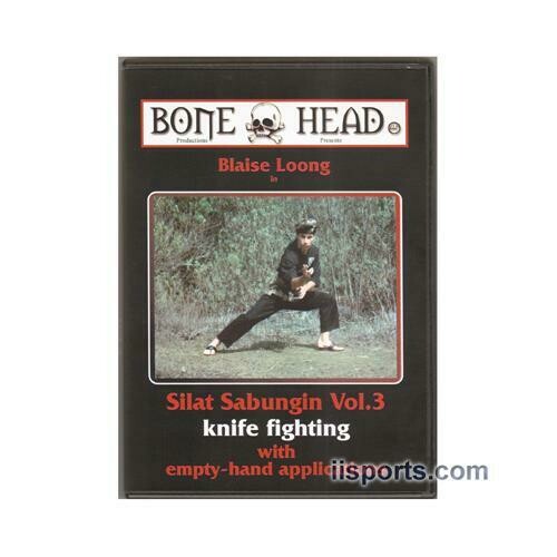 Nine Dragon Baguazhang Street Combat #2 Training Principles DVD John Painter