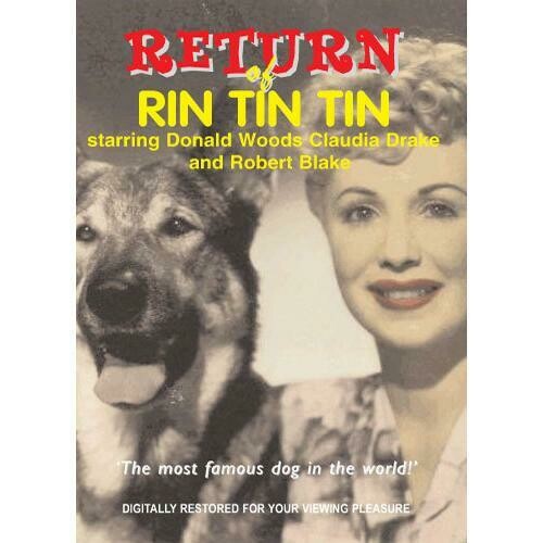Return of Rin Tin Tin movie DVD
