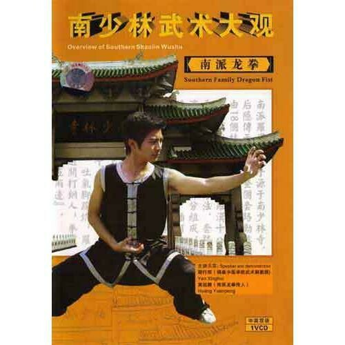 Dragon Fist Kung Fu DVD