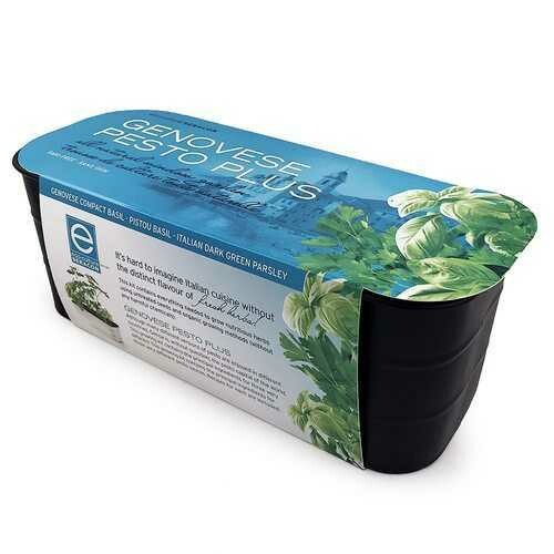 Genovese Pesto Plus Italian All-Natural Window Gardening Kit - GMO-free - Genovese Compact Basil, Pistou Basil, Italian Dark Green Parsley