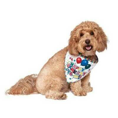 Dog fashion accessories