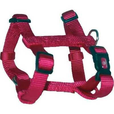 Leashes &amp;amp; Head Collars