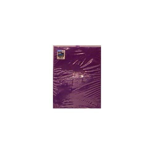 Darice Plastic Canvas 10 X 13 Inches Purple