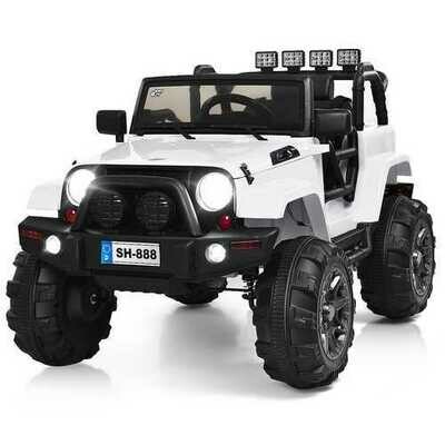 Electric Riding Vehicles