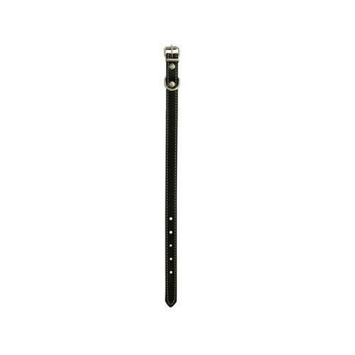 Small Black Dog Collar ( Case of 12 )