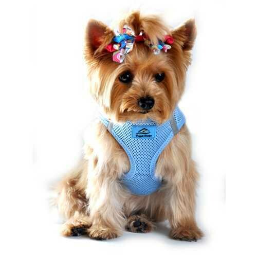 American River Ultra Choke-Free Mesh Dog Harness by Doggie Design - Light Blue