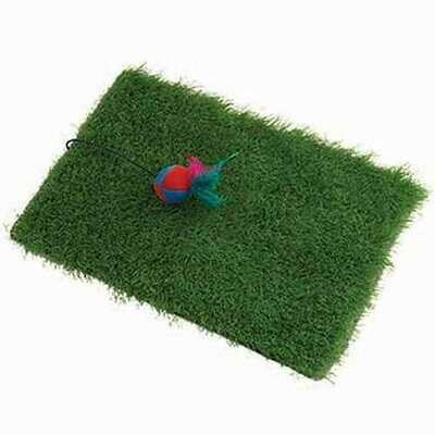 Cat toys