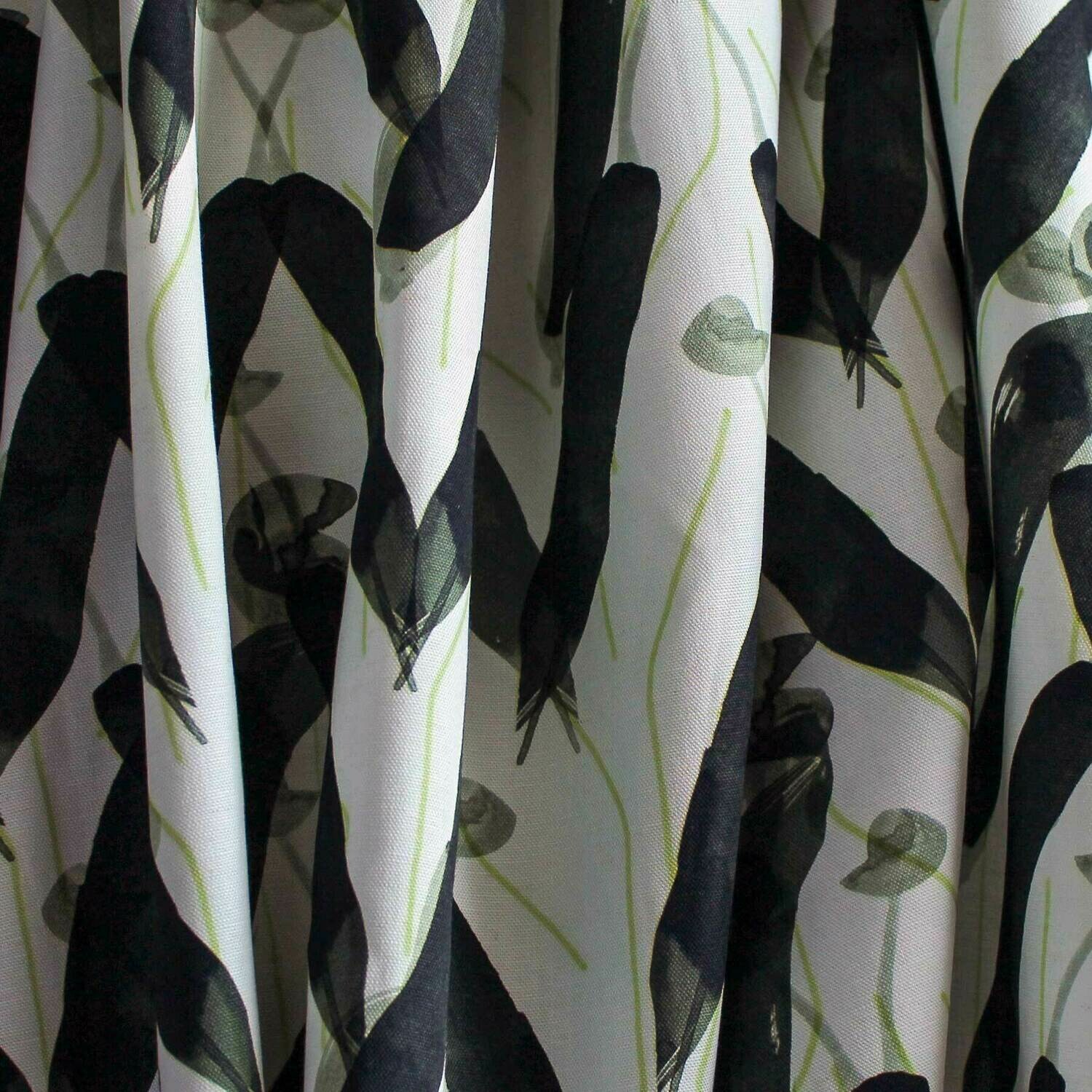 Milkweed | Dusk