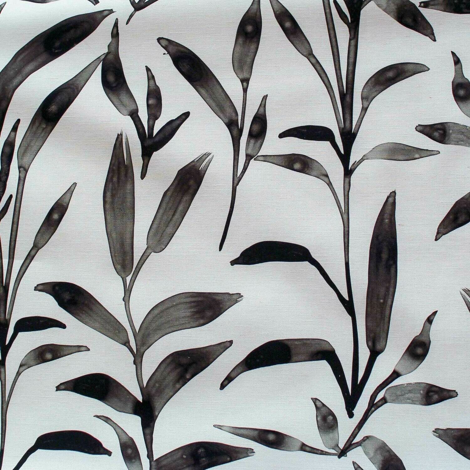 Ficus | Pause