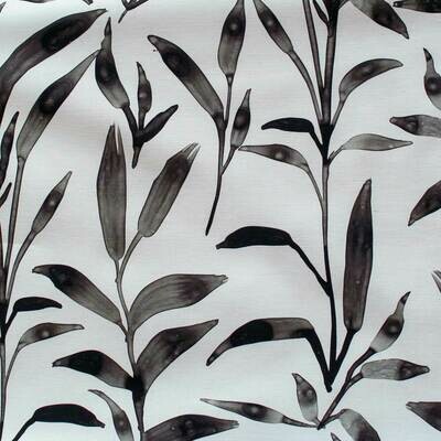 Ficus | Pause