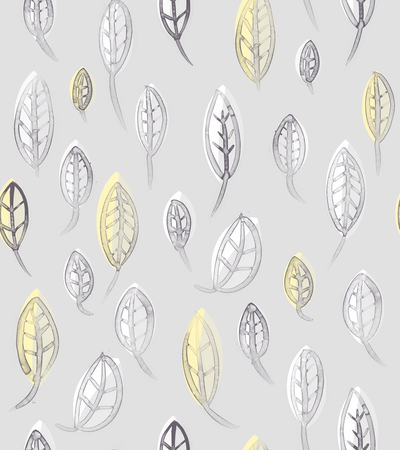 Leaves | Winter Sun