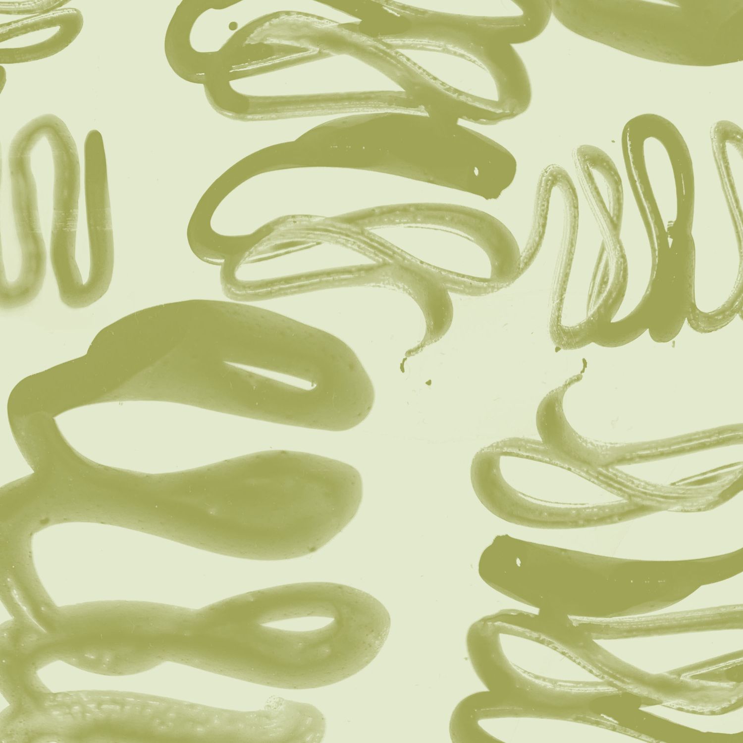 Swish Wallpaper | Moss