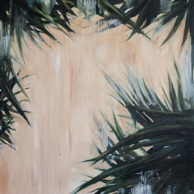 Palm Sol II