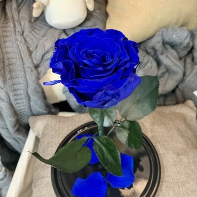 Роза в колбе Премиум синяя
