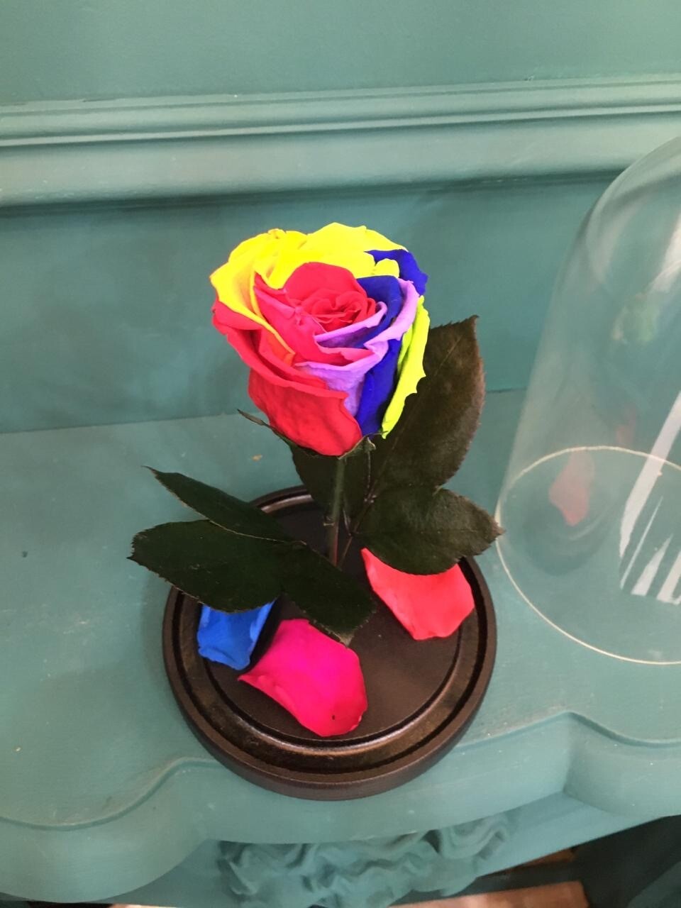 Роза в колбе Мини разноцветная