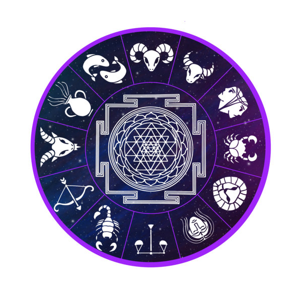 The Vedic Vision India Store