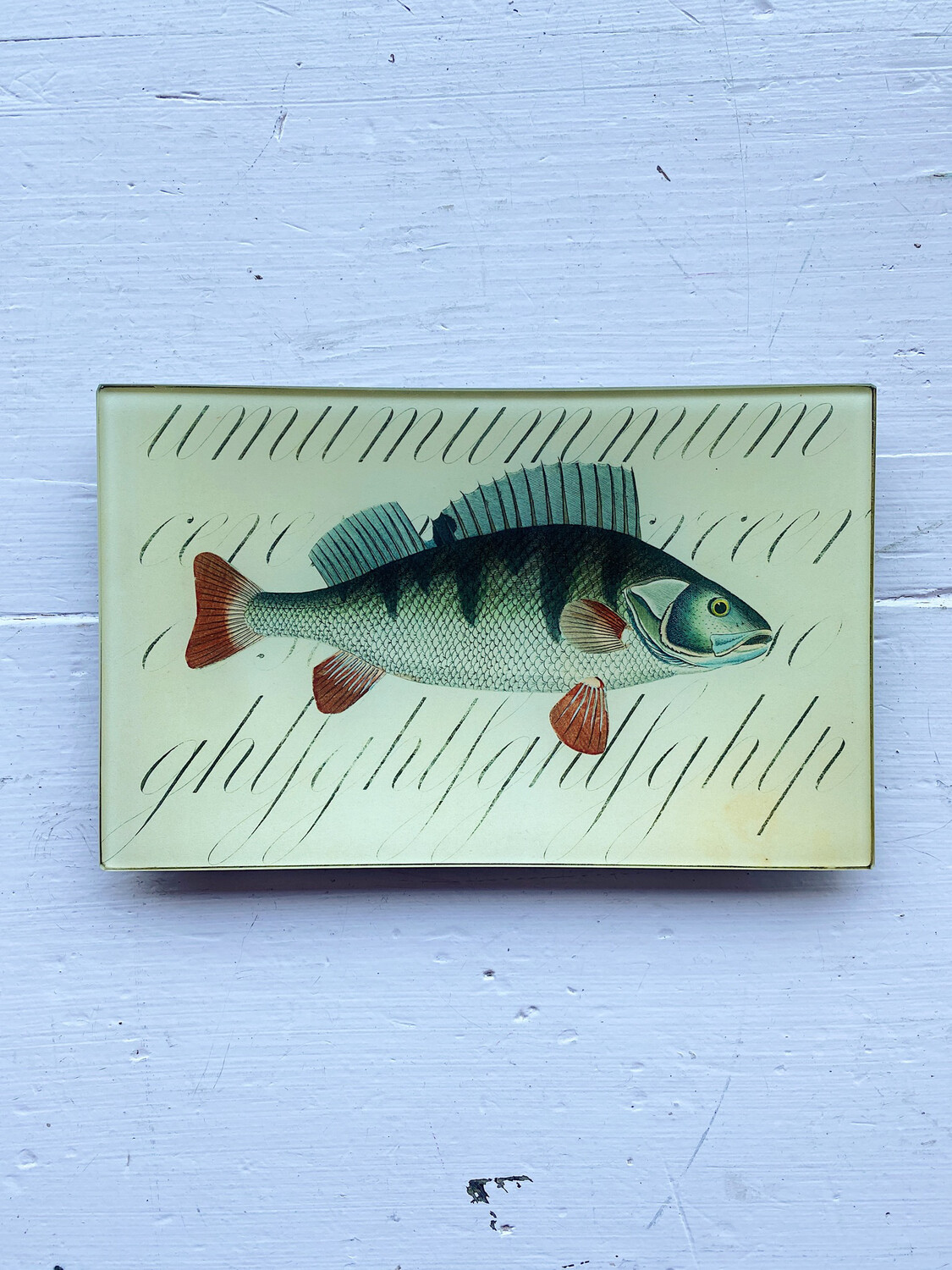 John Derian Fish with Script 5 x 8" Rectangle 