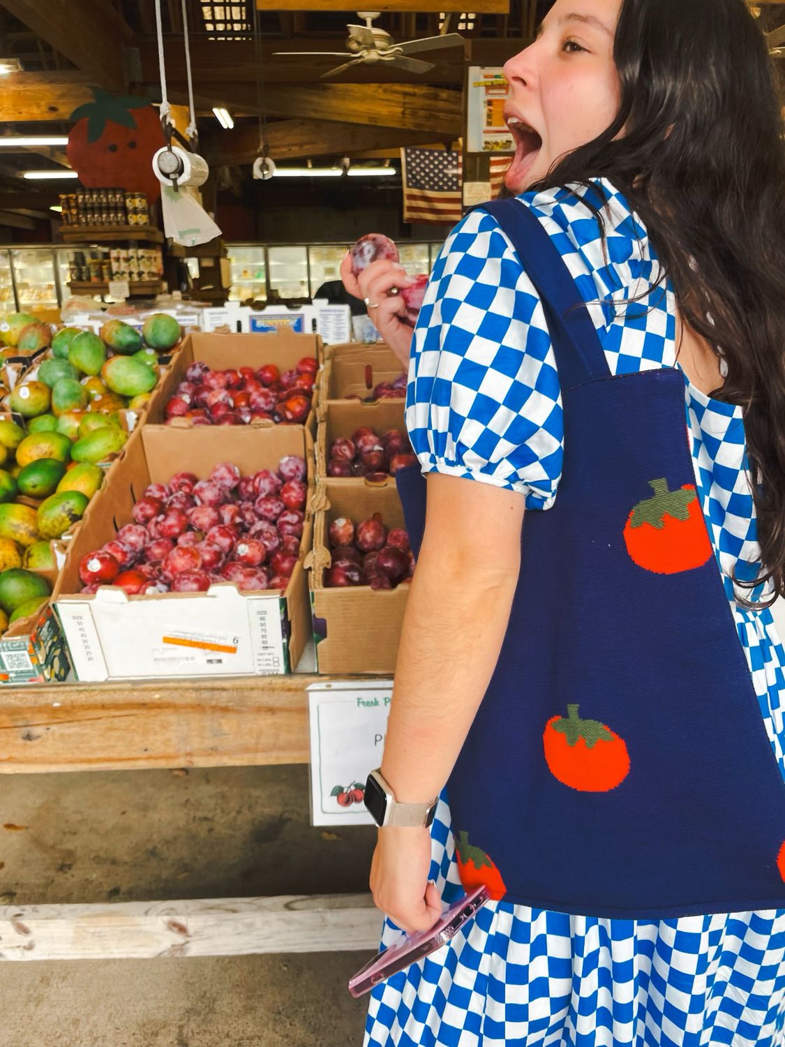 Hansel From Basel Tomato Tote Bag