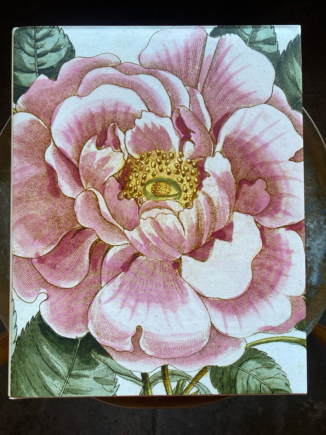 John Derian Picture Book II (Flower)