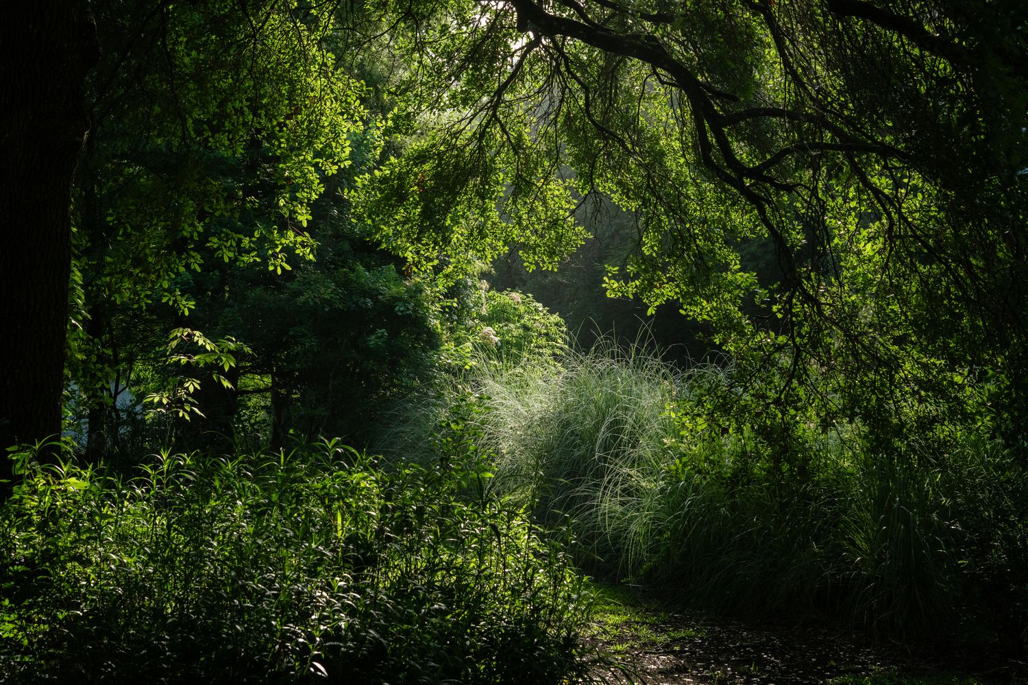 Denny Culbert - Day Dream